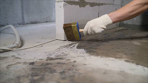 SJ Waterproofing Pros Waterproofing coverage map for Canisteo, NY and surrounding area